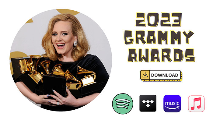 download the 65th grammy awards music as local mp3