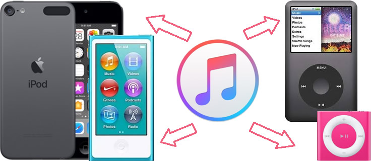 import apple music to ipod