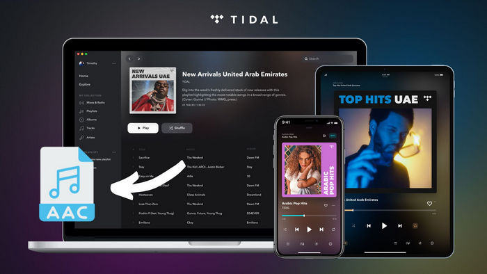 How to Download Tidal Music as AAC files