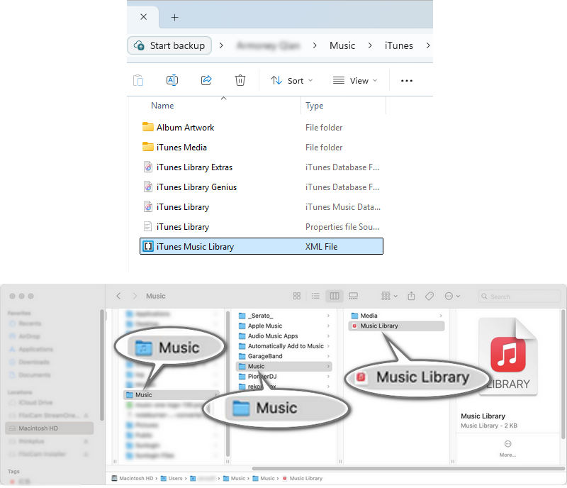 delete the library file