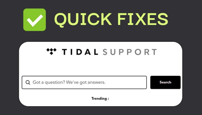 fix tidal not working