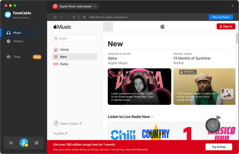 embedded web player