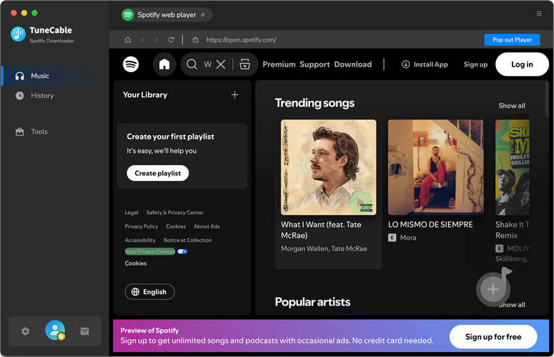 embedded web player